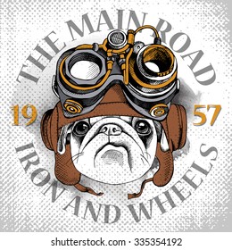 Poster with image of dog Pug portrait in Steampunk helmet. Vector illustration.