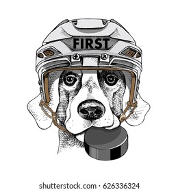 Poster with image dog in a white Ice Hockey helmet and with puck. Vector illustration.