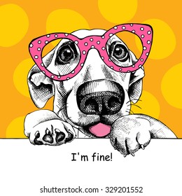 Poster with image of funny dog with pink glasses on yellow background. Vector illustration.