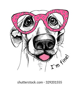 Poster with image of funny dog with pink glasses. Vector illustration.