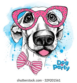 Poster with image of funny dog with pink glasses on blue background. Vector illustration.