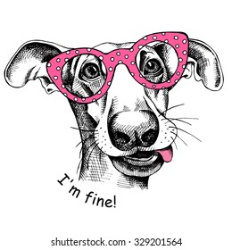 Poster with image of funny dog with pink glasses. Vector illustration.