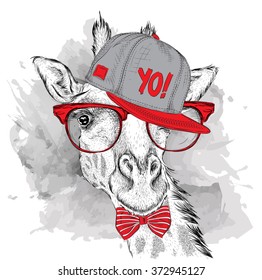 The poster with the image giraffe portrait in hip-hop hat. Vector illustration.