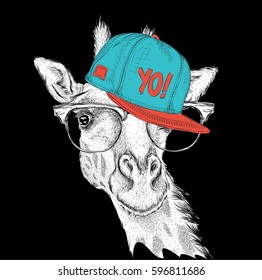 The poster with the image giraffe portrait in hip-hop hat. Vector illustration.