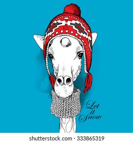 Poster with image of a giraffe in winter hat with ear flaps and in knit scarf on blue background. Vector illustration.