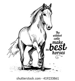 The poster of the image horse with the text composition. Vector illustration.