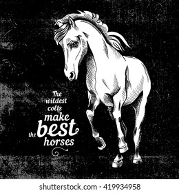 The poster of the image a horse. Vector illustration.