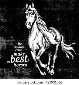 Poster with image of horse. Vector illustration.