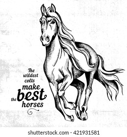 Poster with image of horse. Vector illustration.