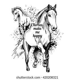 Poster of the image a horses. Vector illustration.