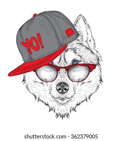 The poster with the image husky portrait in hip-hop hat. Vector illustration.