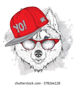 The poster with the image husky portrait in hip-hop hat. Vector illustration.