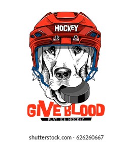 Poster with image Labrador dog in a red Ice Hockey helmet and with puck. Vector illustration.