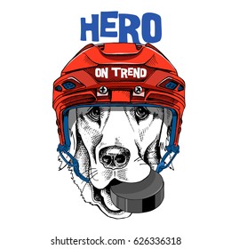 dog hockey helmet