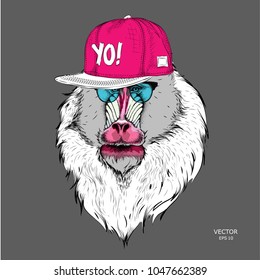 The poster with the image of Mandrill portrait in hip-hop hat. Vector illustration.