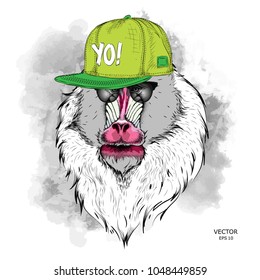 The poster with the image of Mandrill portrait in hip-hop hat. Vector illustration.