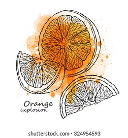 Poster with image of a orange fruit. Vector illustration.