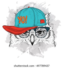 The poster with the image owl portrait in hip-hop hat. Vector illustration.