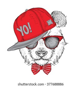 The poster with the image panda portrait in hip-hop hat. Vector illustration.