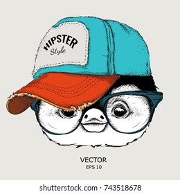 The poster with the image penguin portrait in hip-hop hat. Vector illustration.