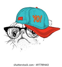 The poster with the image pug portrait in hip-hop hat. Vector illustration.