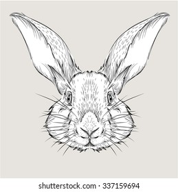 The poster with the image rabbit portrait. Hand draw vector illustration.