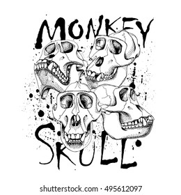 Poster with image of a skull monkey. Vector black and white illustration.