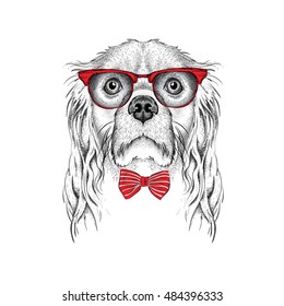 The poster with the image of Spaniel portrait in red glasses. Vector illustration.