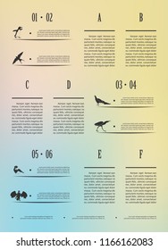 Poster infographics birds on a blurry background in an abstract style. Vector illustration with graphic scheme