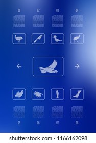 Poster infographics birds on a blurry background in an abstract style. Vector illustration with graphic scheme