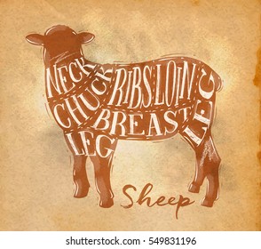 Poster lamb cutting scheme lettering neck, chuck, ribs, breast, loin, leg in retro style drawing on craft paper background