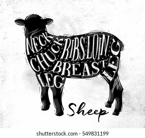 Poster lamb cutting scheme lettering neck, chuck, ribs, breast, loin, leg in vintage style drawing on dirty paper background