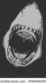 Poster of the large terrifying megalodon shark opening its mouth and showing its sharp serrated teeth ready to pounce on its prey