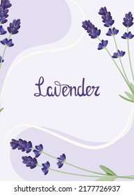 Poster with lavender flowers. Cartoon design.
