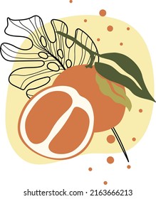 Poster with lemons. Citrus fruit. Set of lemons and oranges. Flat illustration. Vector engraving.