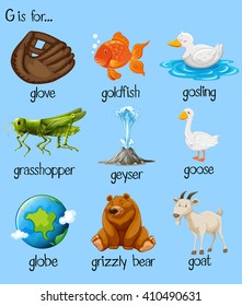 Poster letter g and many words illustration