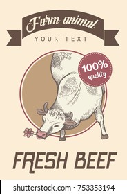 Poster of light color. Cow is eating flower, vector illustration. Front view. Sketch and retro style.