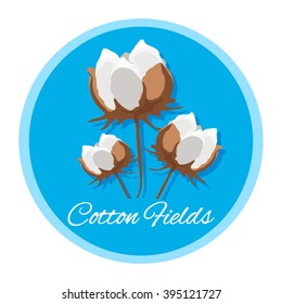 Poster or logo with cotton flower imitating cotton fields and 100% natural product. Vector illustration. Banner, card or background.