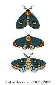 poster with magic moths and butterflies