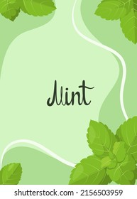 Poster With Mint Leaves. Herbs.
