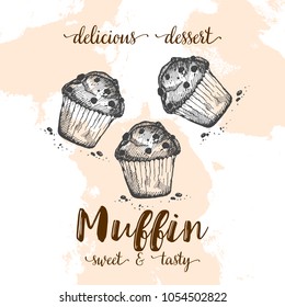 Poster mit Muffins. Set handgezeichneter Kuchen. Vektorillustration mit Skizzenbacken. Frische und schmackhafte Speisen. Café-Menü.