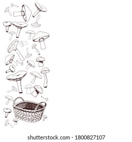 Poster of mushrooms and wicker basket. Monochrome outline figures.Vector illustration . Clip art for web card, poster, cover.