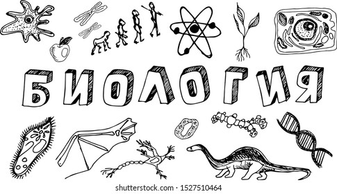 Poster with the name of the school subject biology in Russian Cyrillic. The inscription "biology" in the style of Doodle with icons on a white background. school subject plate.