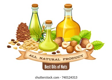 Poster nuts oil. Vector illustration for brochure presentation.