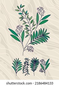 poster of olive branches set