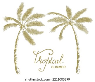 Poster on a beach summer theme. Two palm trees are tilted towards each other. Hand drawn text Tropical summer. Palm tree silhouette, outline drawing. Hawaiian pattern, vector illustration. Flyer, ad