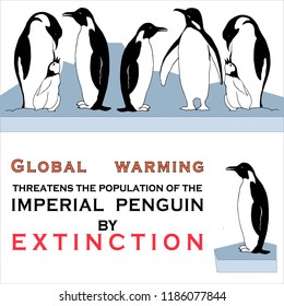Poster on the danger of extinction of royal penguins due to global warming