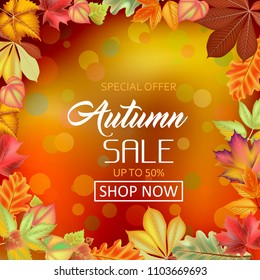 Poster on a red-orange background. Autumn sale, framed with leaves. Template for posters, postcards, announcements