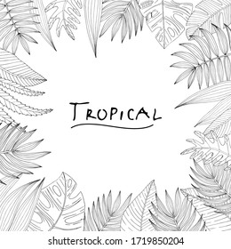 Poster with ornament, frame border, hand drawn tropical or forest leaves of black skeich on a white chalkboard background, oval or ovoid type. Vector composition isolated on a white background