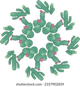 Poster with ornament hand drawn colored lettering, cacti and succulents. Vector composition